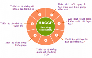 7 nguyên tắc HACCP